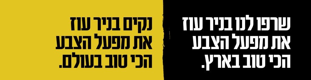 הבטחה לעתיד